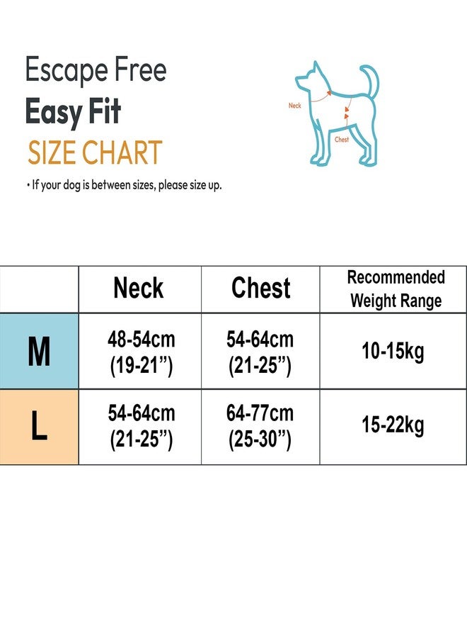 Karsaer Reflective Dog Vest Harness Adjustable Straps No-Choke Design with Free Leash Quick Release for Small to Medium Dogs G9001 - Image 2